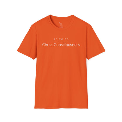 Christ Consciousness